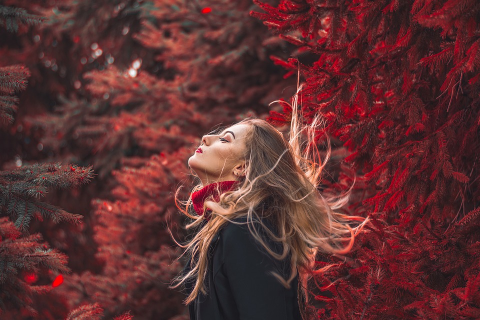 portrait-4599559_960_720